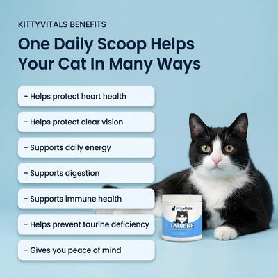KittyVitals™ Taurine Supplement