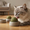 Premium Dental Catnip Balls