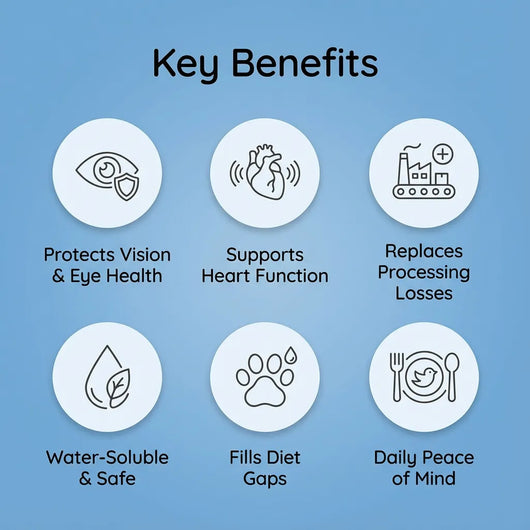 KittyVitals™ Taurine Supplement