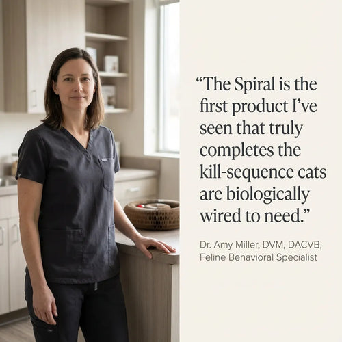 The Spiral - Behavioural Solution for Cats