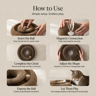 The Spiral - Behavioural Solution for Cats