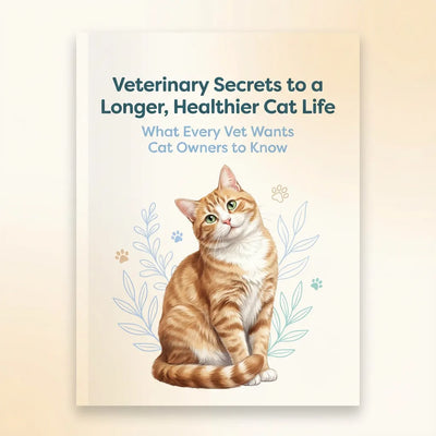 Vet Secrets to a Longer, Healthier Cat Life