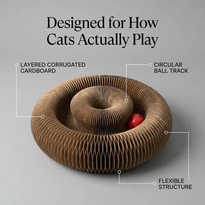 The Spiral - Behavioural Solution for Cats
