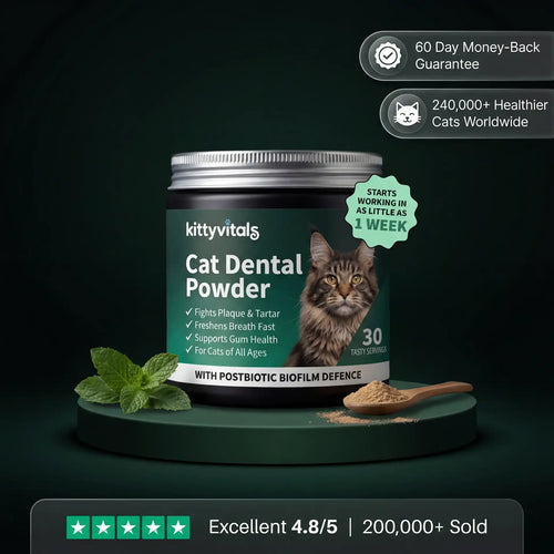 Premium Cat Dental Powder