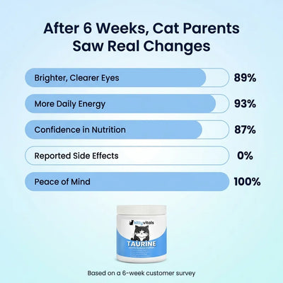 KittyVitals™ Taurine Supplement