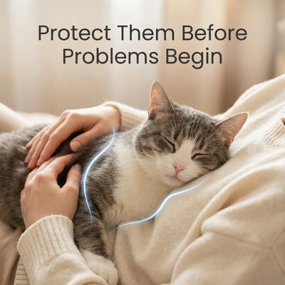 KittyVitals™ Taurine Supplement