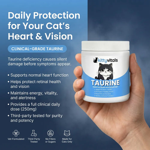 KittyVitals™ Taurine Supplement