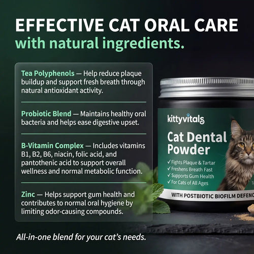 Premium Cat Dental Powder