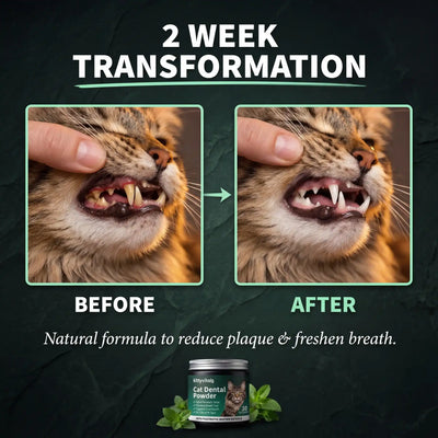 Premium Cat Dental Powder