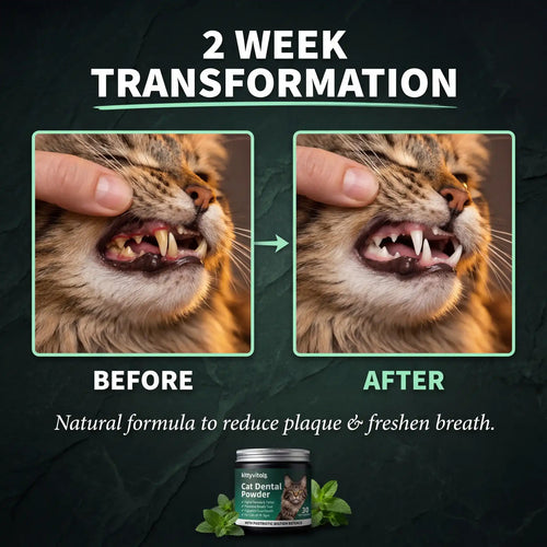 Premium Cat Dental Powder