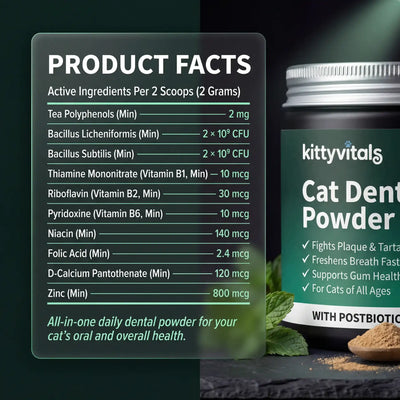 Premium Cat Dental Powder