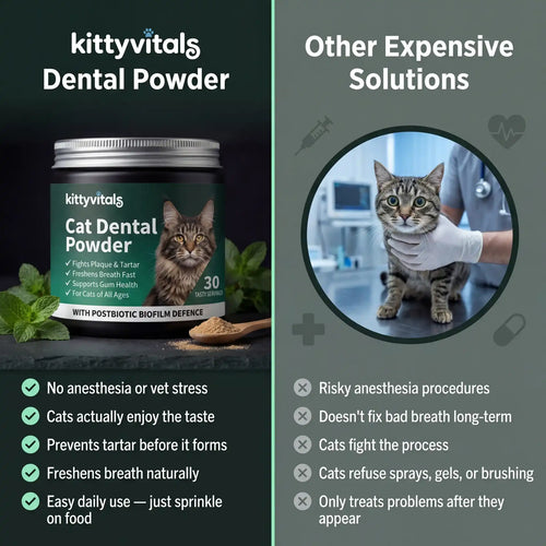Premium Cat Dental Powder