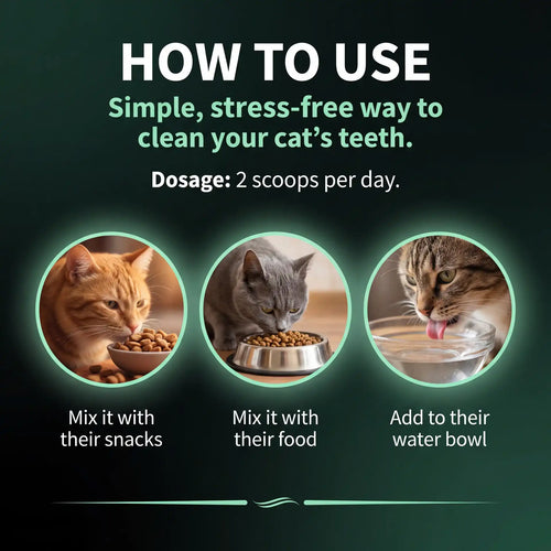 Premium Cat Dental Powder