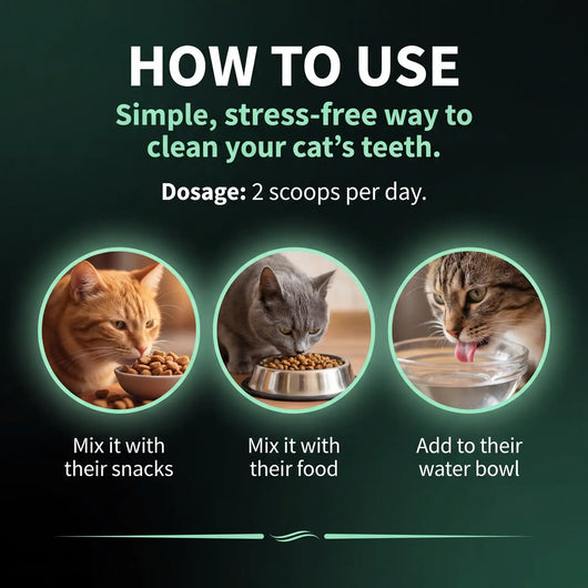 Premium Cat Dental Powder